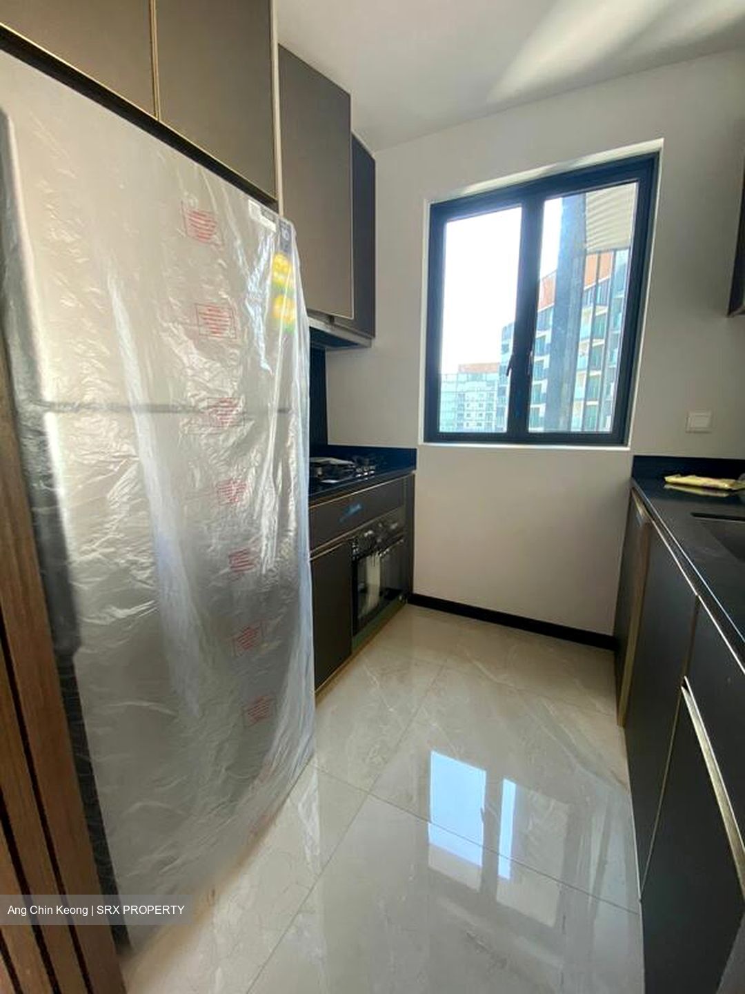 Normanton Park (D5), Apartment #566262531